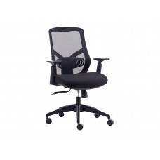 Ergonomic Office Chair, Mesh