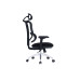 Bold Ergonomic Chair